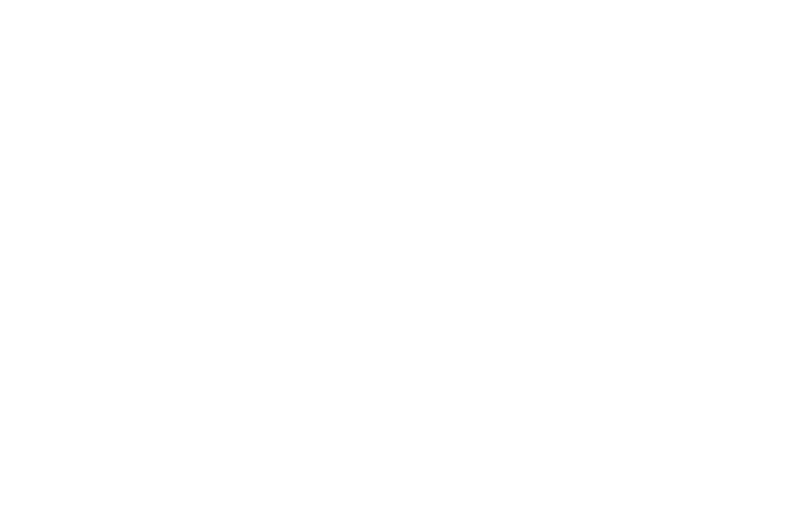 AUI Logo